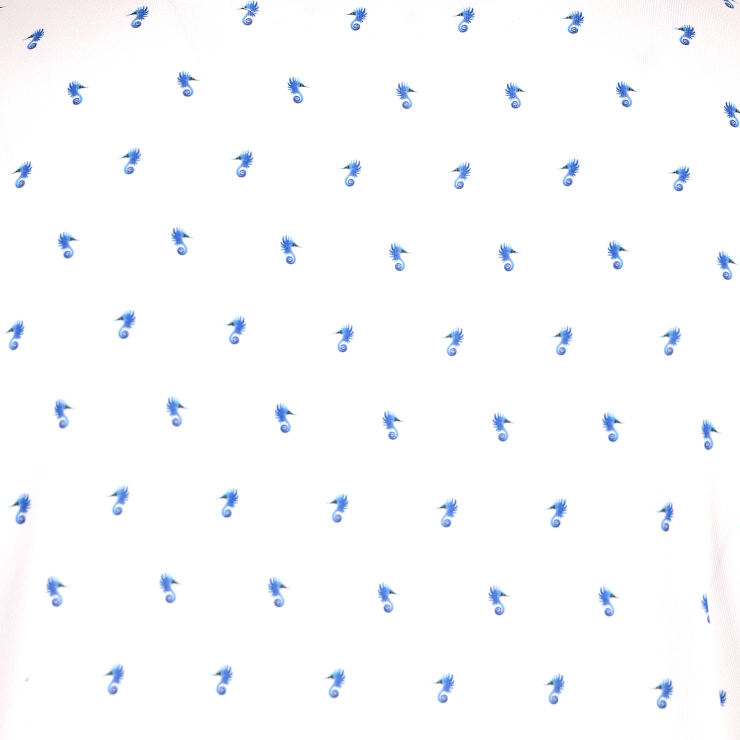 THE DIRECTION POLO
