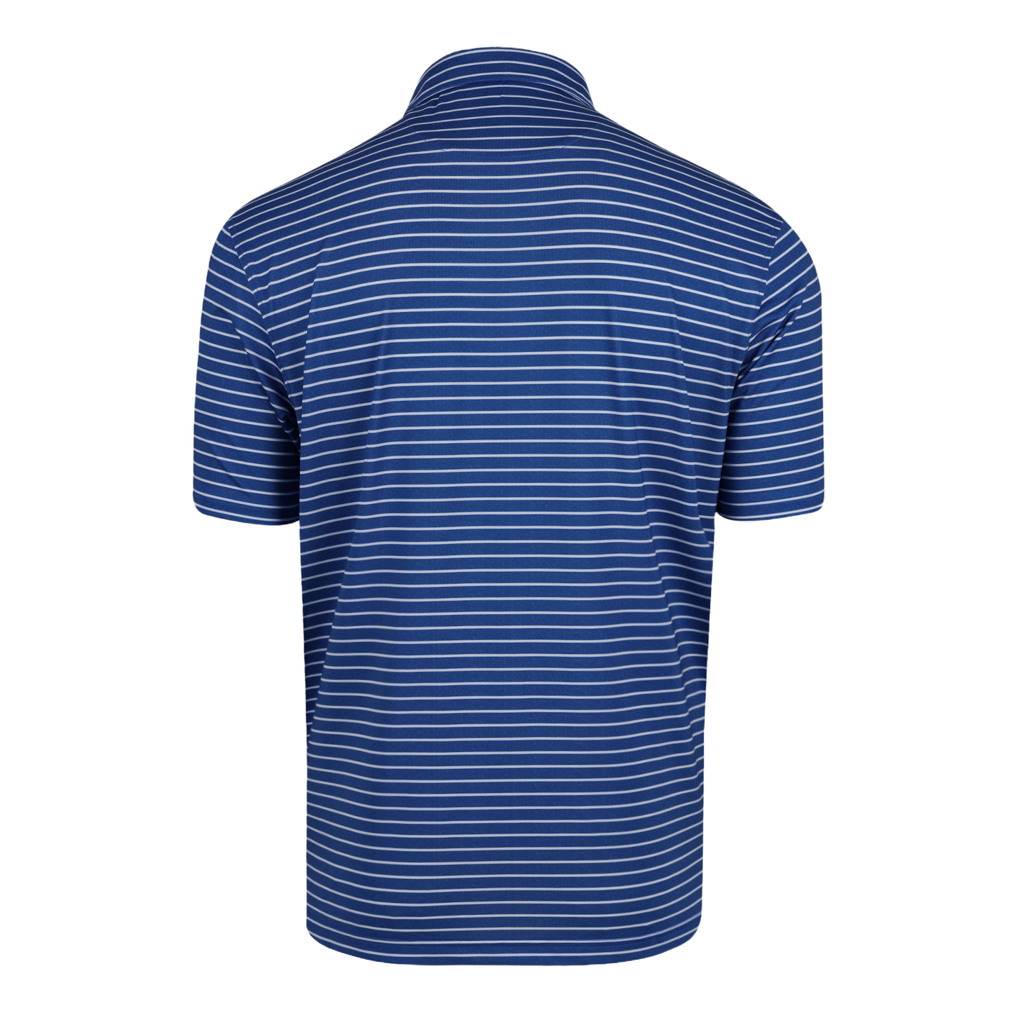 THE EVERGREEN POLO