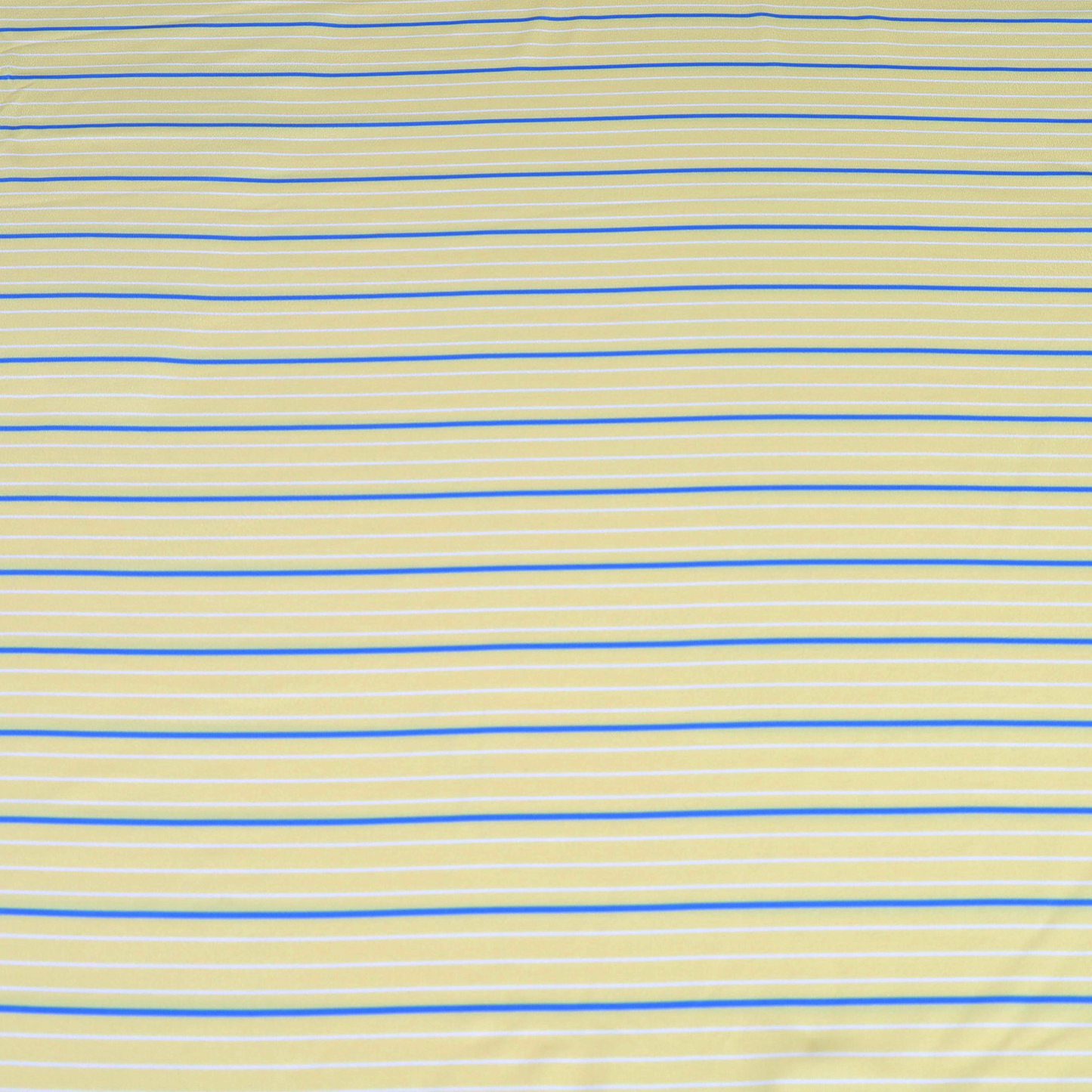 THE BIG LINE  POLO