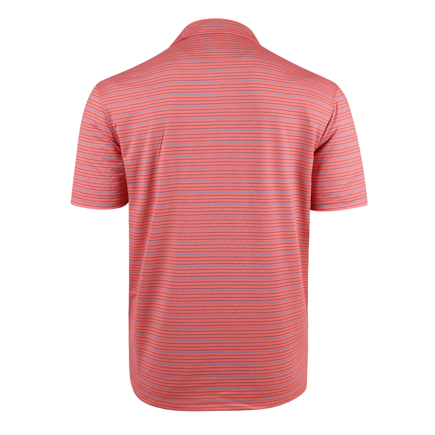 THE BIG LINE  POLO