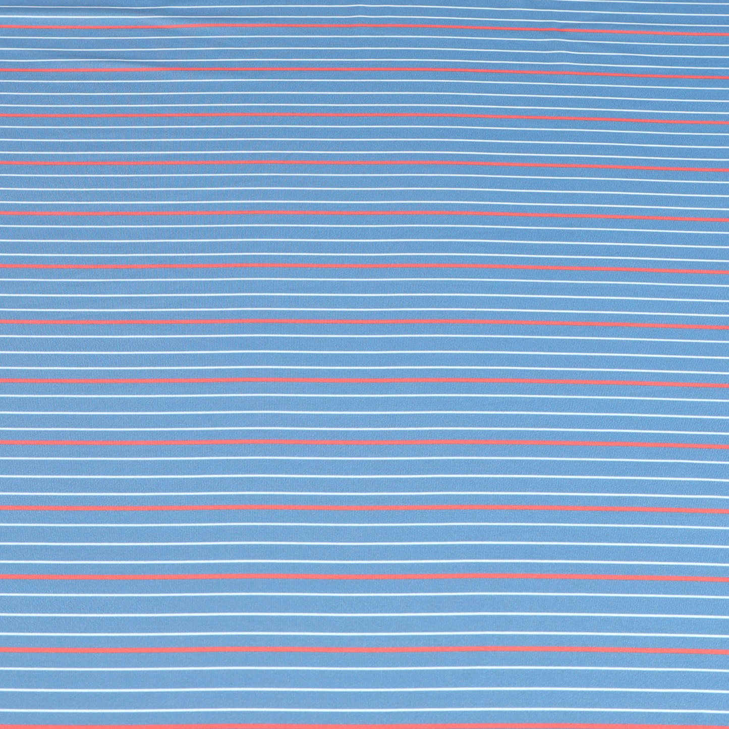 THE BIG LINE  POLO